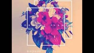 BLACKBIRD BLACKBIRD - Tear (Grenier Mix)