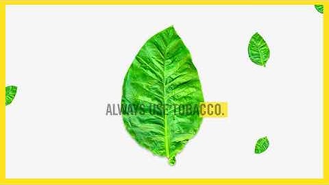 The difference between e-cigarettes and heated tobacco products