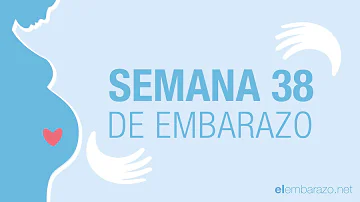 ¿Cuál es el peso normal de un bebé a las 38 semanas?