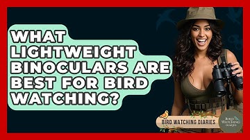 What Lightweight Binoculars Are Best For Bird Watching? - Bird Watching Diaries