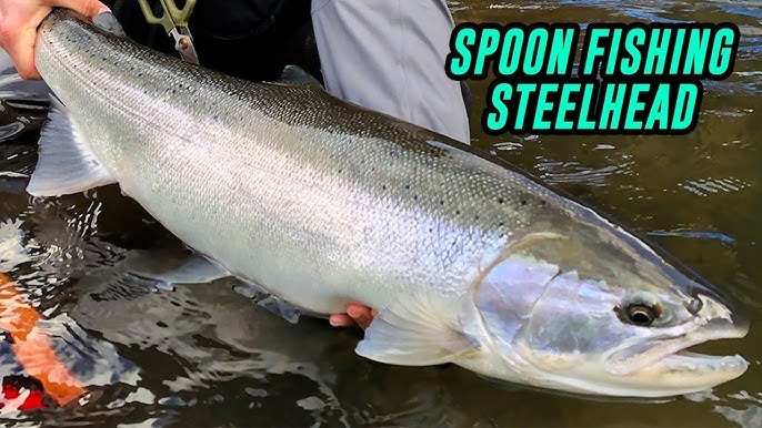 Spoons VS Spinners!!! Salmon, Trout, & Steelhead FISHING TIPS, tricks, and  setups. 