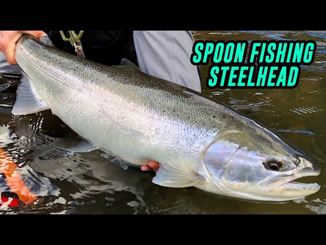 FISHING For STEELHEAD With SPOONS, In Depth How To 