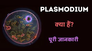 What is Plasmodium with Full Information? – [Hindi] – Quick Support