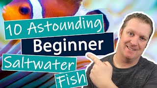 Best Beginner Saltwater Fish