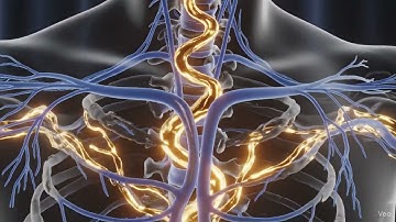 Spontaneous Neuroelectrical Cascade (SNC) (Veo3 mô phỏng) 