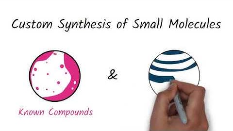 Custom Synthesis at ChemPartner