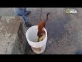 Un Vison Vole Le Poisson D Un Pêcheur Un Vison Vole Le Poisson D Un Pêcheur