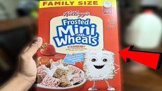 Eating The Strawberry Frosted Mini Wheat Cereal For Breakfast! - Real Life Vlogs SEASON 2 Episode 4