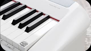 דראמר חנות - פסנתר חשמלי P-200 מבית PEARL RIVER | כי על איכות לא מתפשרים