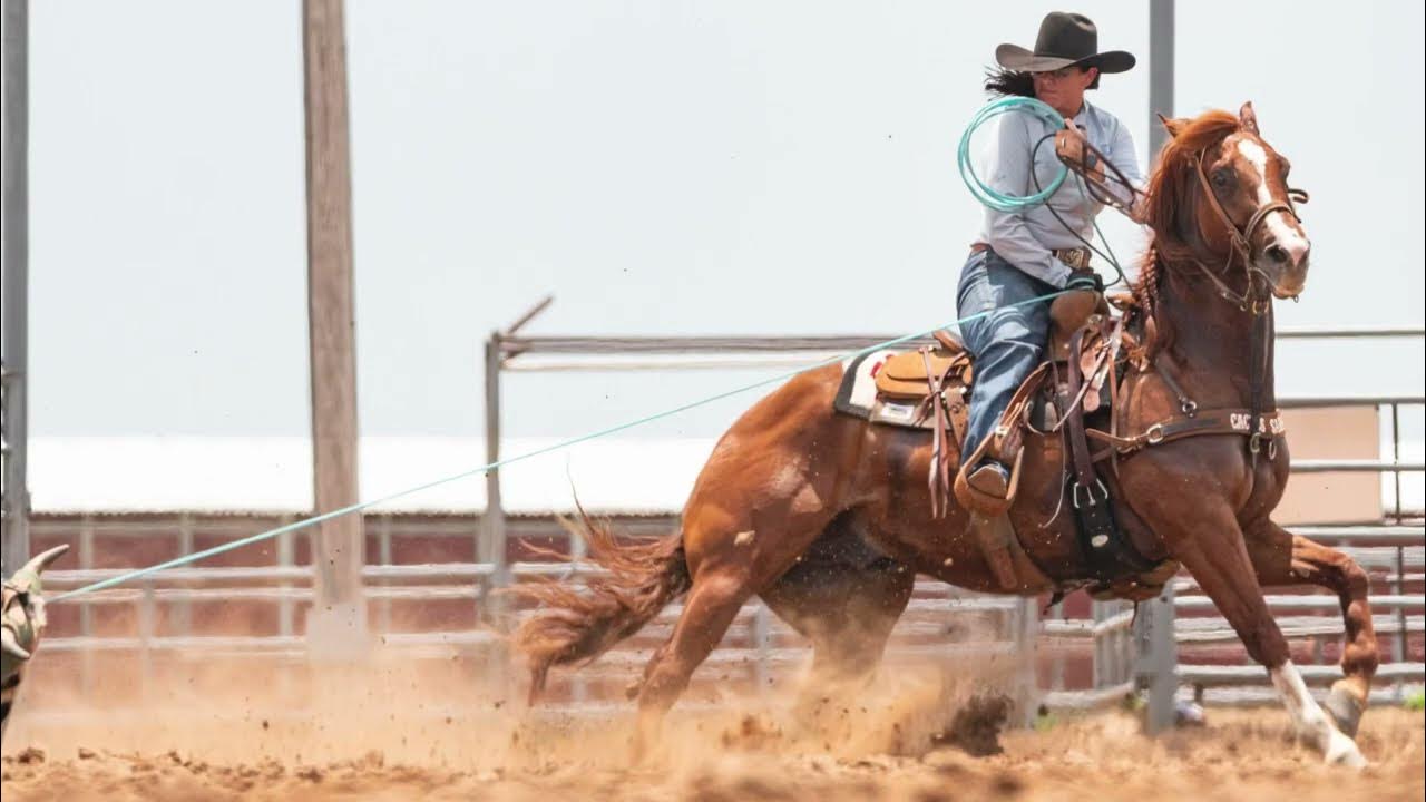 Lone Jonez “Traveler” sells in Levelland, Tx. August 1819. He’s part of our Riata horses! YouTube