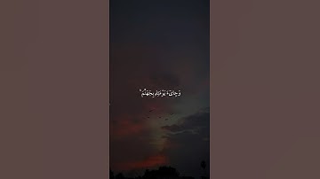 تلاوة خاشعة للشيخ #ماهر_المعيقلي #قران_شاشة_سوداء #قران #قران_كريم #راحة_نفسية