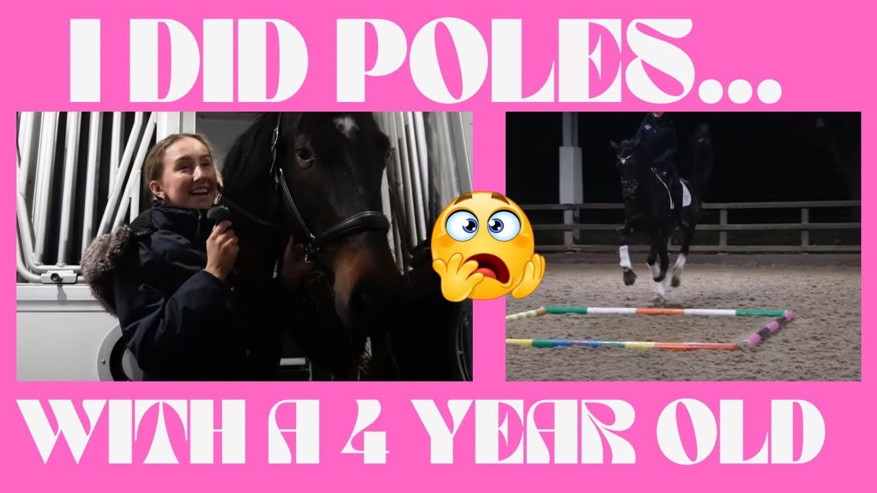 Я отвела свою 4-летнюю выездковую лошадь на тренировку по преодолению препятствий с помощью столб...