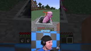 The Most Cursed End Portal Moment #minecraft