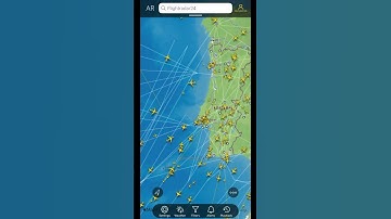 How to use Aeronautical Charts on Flightradar24 mobile #shorts