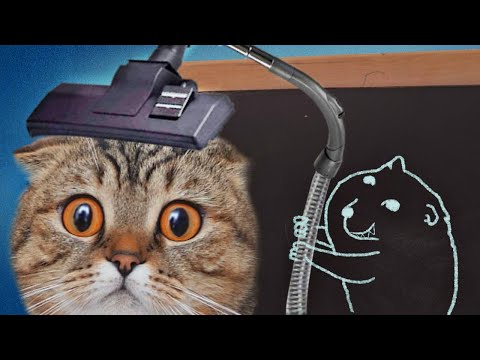 cats-vs-fake-cat-play-with-a-kitten-animal-lover's-video