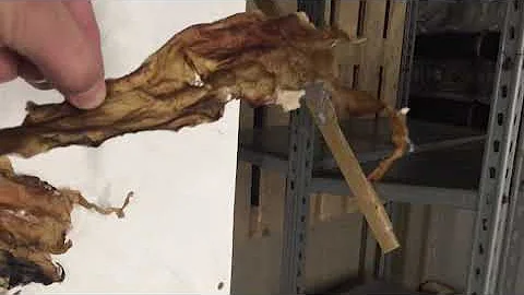 Very bad quality fish maw