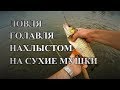 Ловля голавля нахлыстом на Угре на сухие мушки.