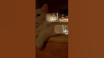 تلاوة عطرة للقارئ الشيخ محمد صديق المنشاوي ما تيسر من سورة إبراهيم #quran #اكسبلور#لايك#قرآن#like#fy
