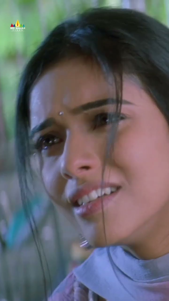 Asin Serious Over Vijay Thalapathy | #massraja | #action | #shorts | #ytshorts | #youtubeshorts