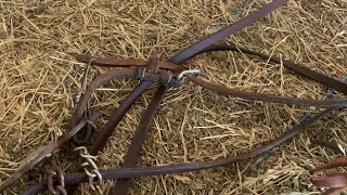 How to Attach a Bit to a Bridle