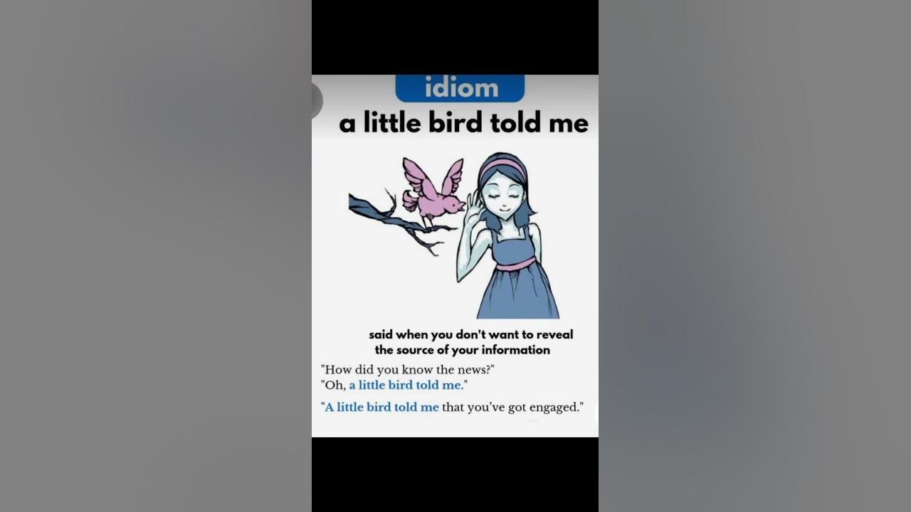 Idiom| a little bird told me #shorts #viral #idioms