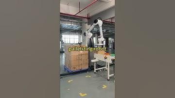 palletizing robot#robot #cobot #palletizer