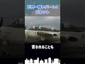 世界で最も醜い航空機パート2「ガネット」 #shorts