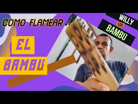 Vídeo: Quina alçada té el bambú daurat?