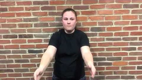 ASL midterm intro/direction 2