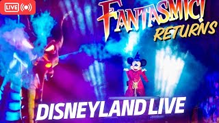 Fantasmic & Castle view Fireworks  LIVE Disneyland Pixar Fest Night time Spectacular