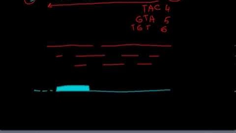Open reading frames DNA