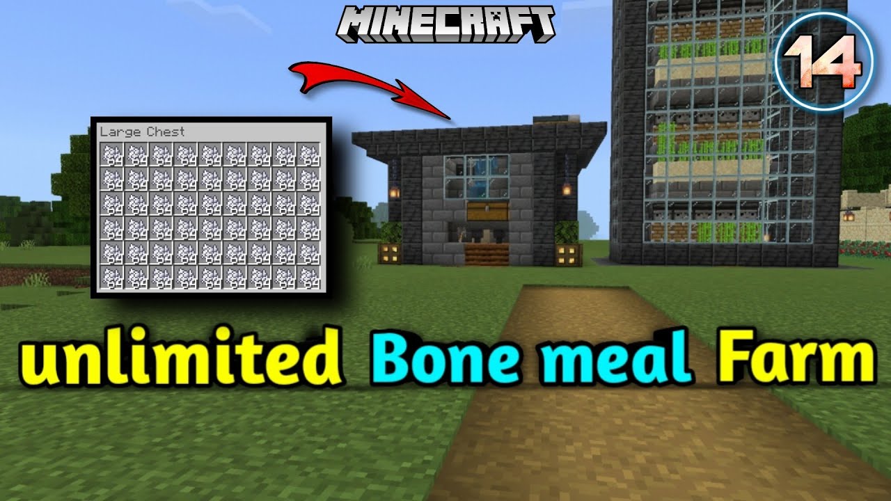 I Built a Unlimited Bone Meal Farm in Minecraft - YouTube