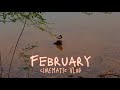 FEBRUARY CINEMATIC VLOG