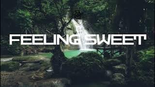Feeling Sweet - OwlGank ft Dr.J 483 & Qiiba