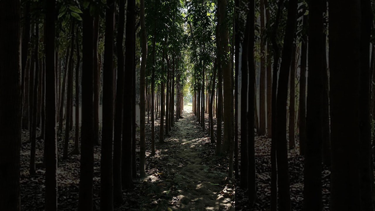 Barbad song but heavy metal version 