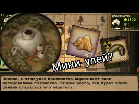 День р краз