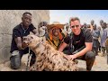 Surviving nigerias no go zone hyena family 