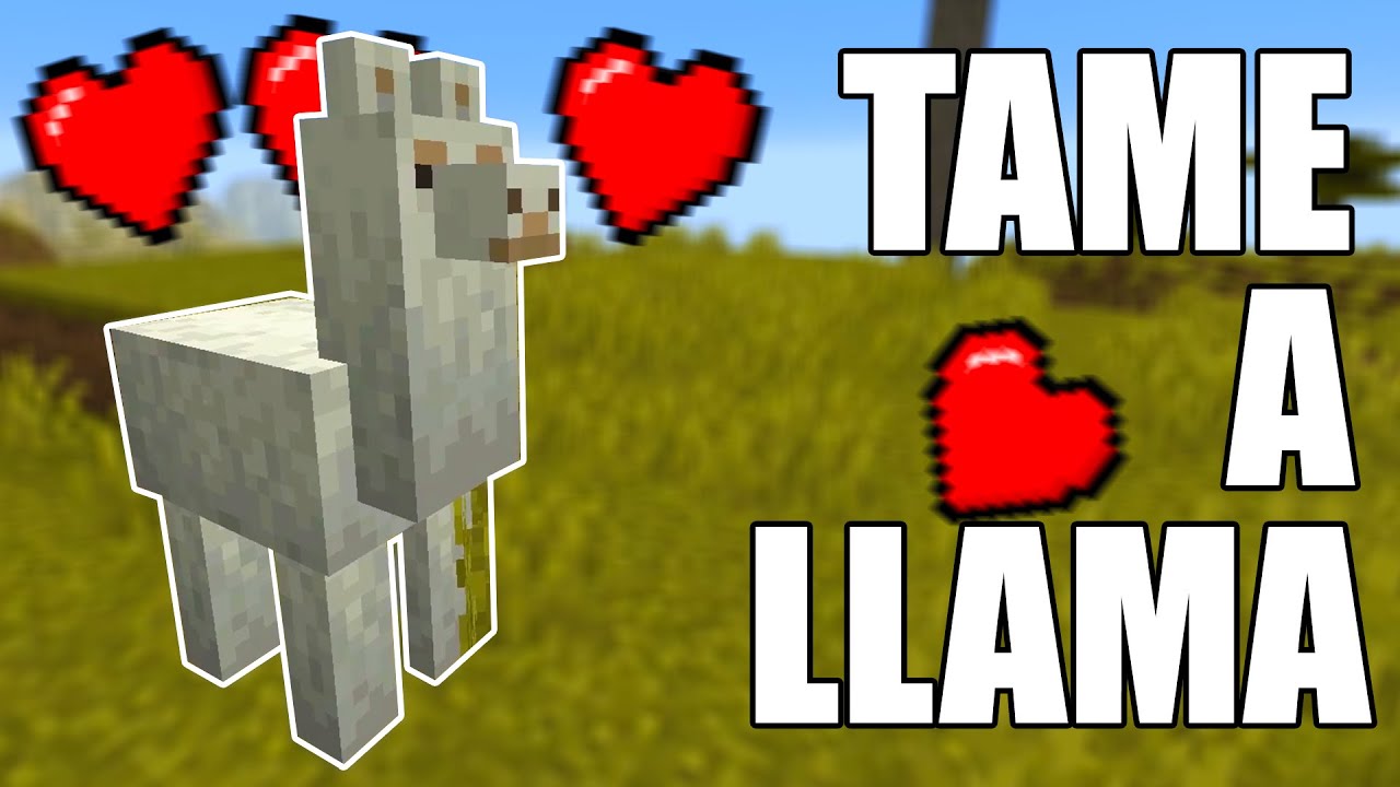 Wie man in Minecraft ein Lama zähmt und reitet - Moyens I/O