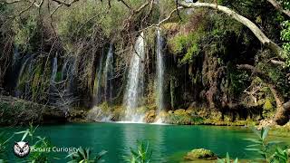 Tranquil Cascades: Mesmerizing Waterfall Relaxation Video