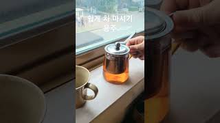 사무실 캠핑 쉽게 차마시기 숙차 용주 보이차 #puerhtea #tea #고수차