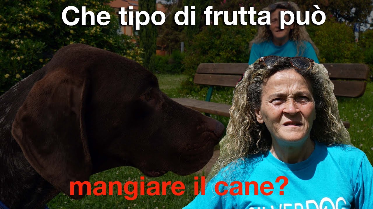 Che tipo di frutta può mangiare il cane?