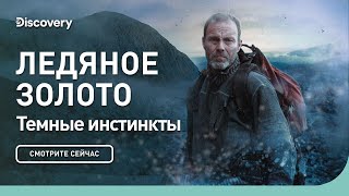 Темные инстинкты Ледяное золото Discovery