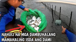 Nahuli Na Ang Naglalakihan At Napakaraming Mamahaling Isda😱 Trophy First Time