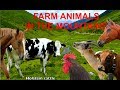 For kids farm animals in the mountains with natural sounds  no music for children