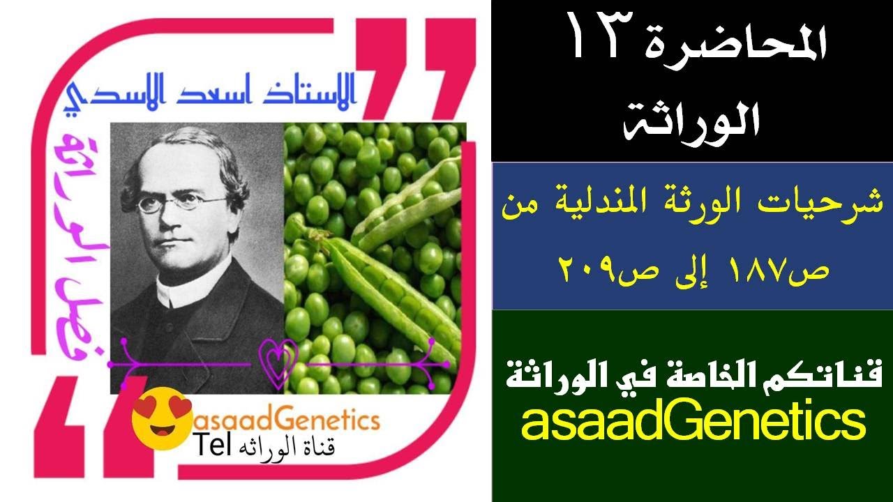 شرحيات الوراثه من البدايه ص١٨٧ الى الوراثه مابعد مندل ص٢٠٩/ المحاضره 13 /الاستاذ اسعد الاسدي