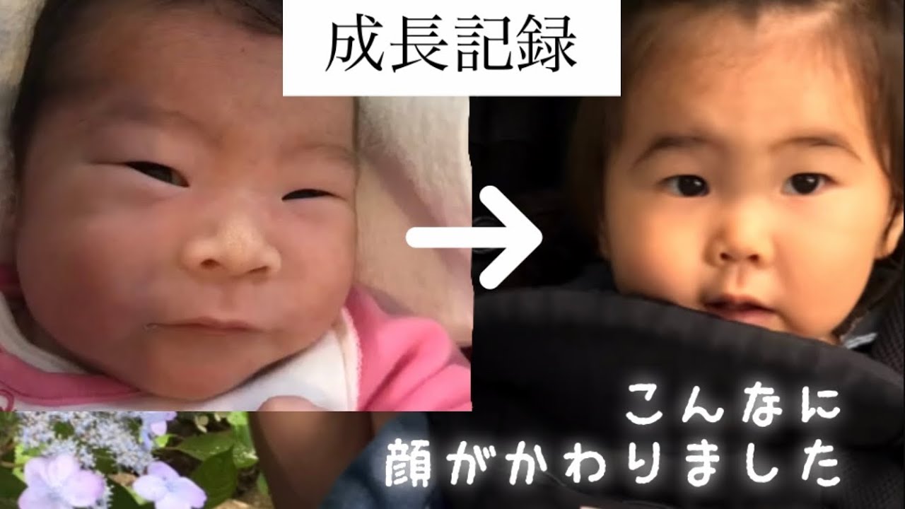 成長記録 顔の変化 新生児 1歳半 Flip Pictures 顔の変化 育児vlog 感動 衝撃 Youtube