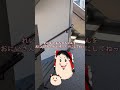 今日の出来事