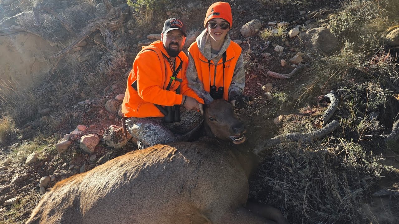 Utah Cow Elk Hunt 2025