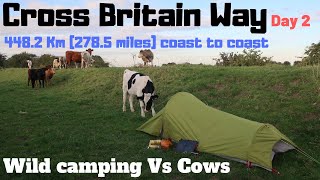 Day 2 Macmillan Cross Britain Way Ancient Sea dyke Cows Vs Tent Black Sluice Navigation Wild camping