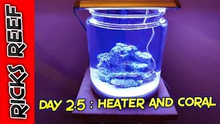 HOW TO: REEF TANK IN A COOKIE JAR - DAY 2.5 - HEATER AND CORAL